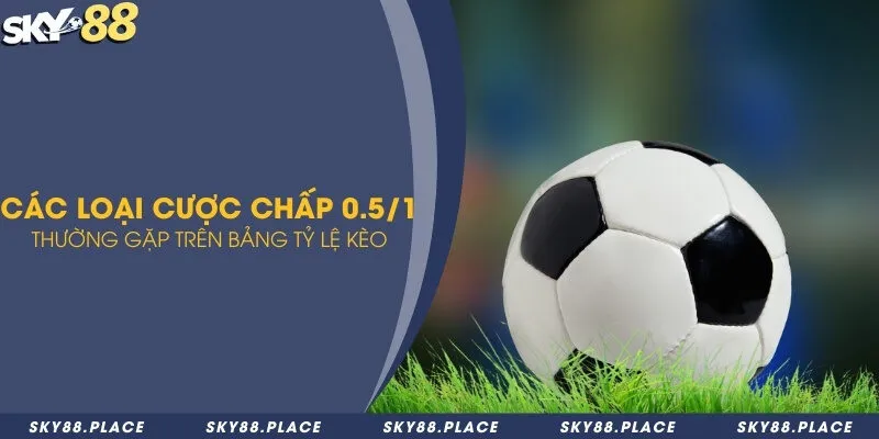 Đặc điểm cược 0.5/1 trong kèo châu Á và kèo tài xỉu