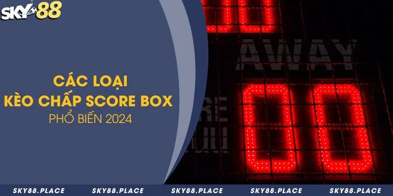 Các loại kèo chấp score box phổ biến 2024