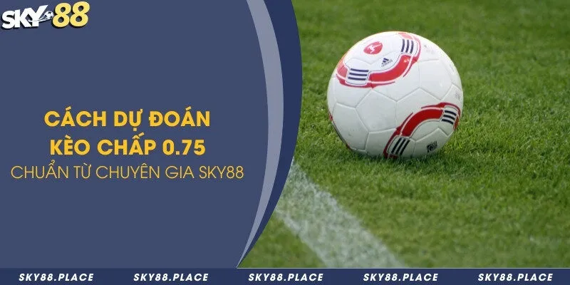 Cách dự đoán kèo chấp 0.75 chuẩn từ chuyên gia Sky88