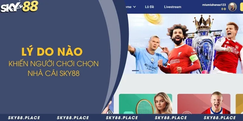 Lý do nào khiến người chơi chọn nhà cái Sky88