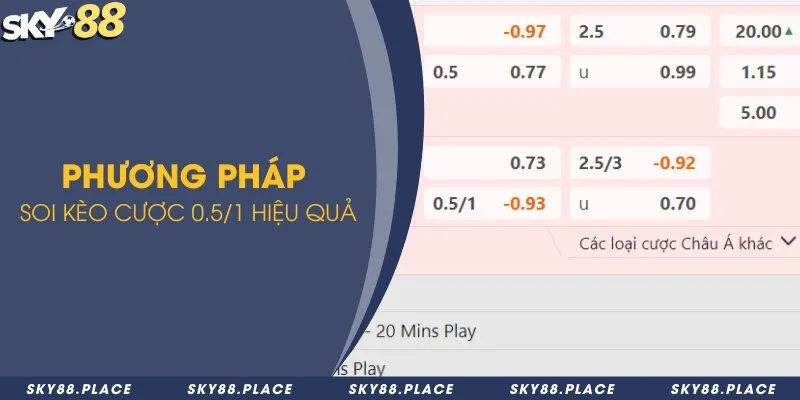 Tổng hợp phương pháp soi kèo bóng đá 0.5/1 chắc thắng